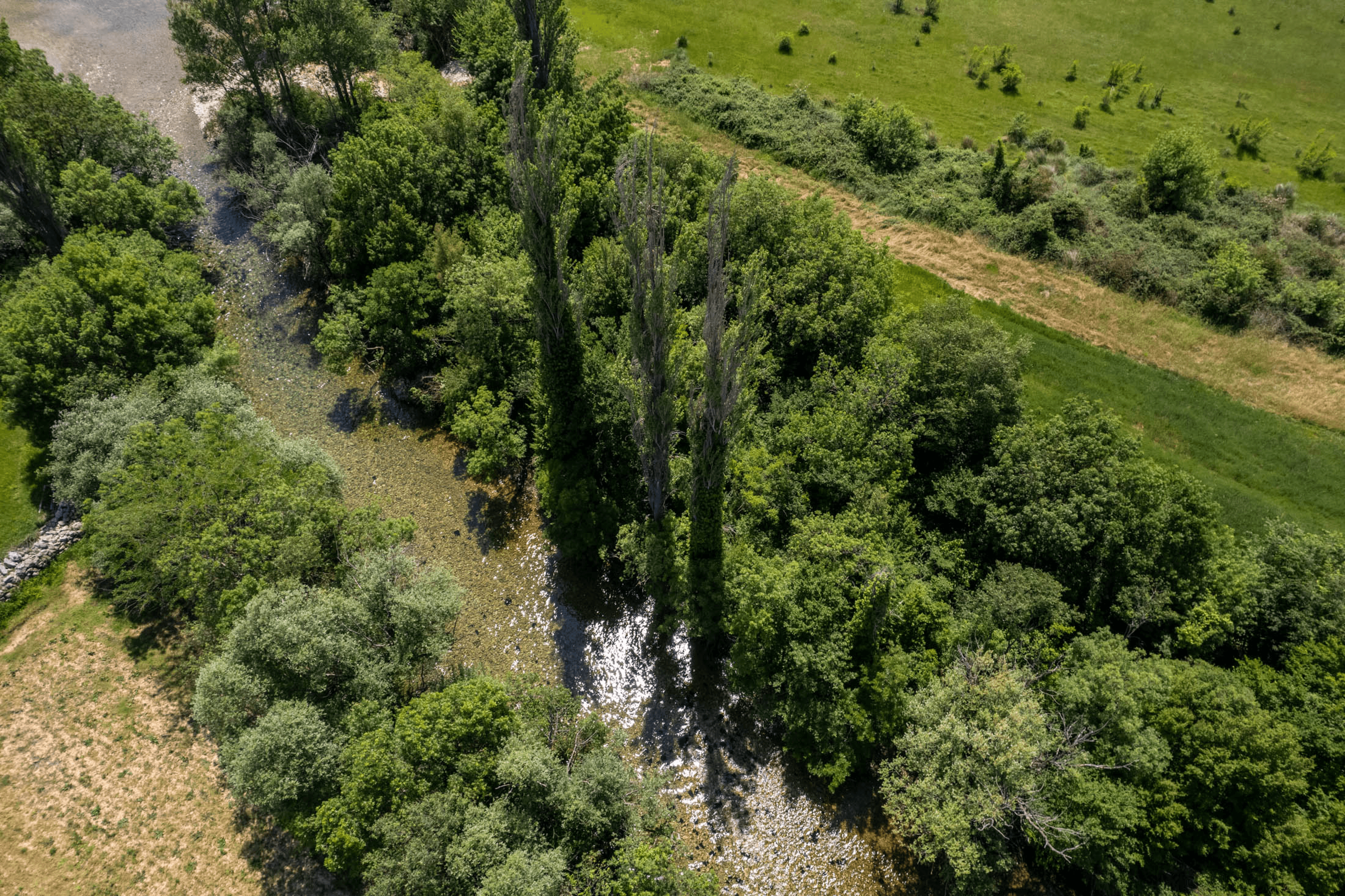 image of camping villiage